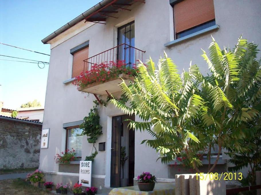 Cozy Rooms In Nature, Perfect For Relax Ilirska Bistrica Esterno foto