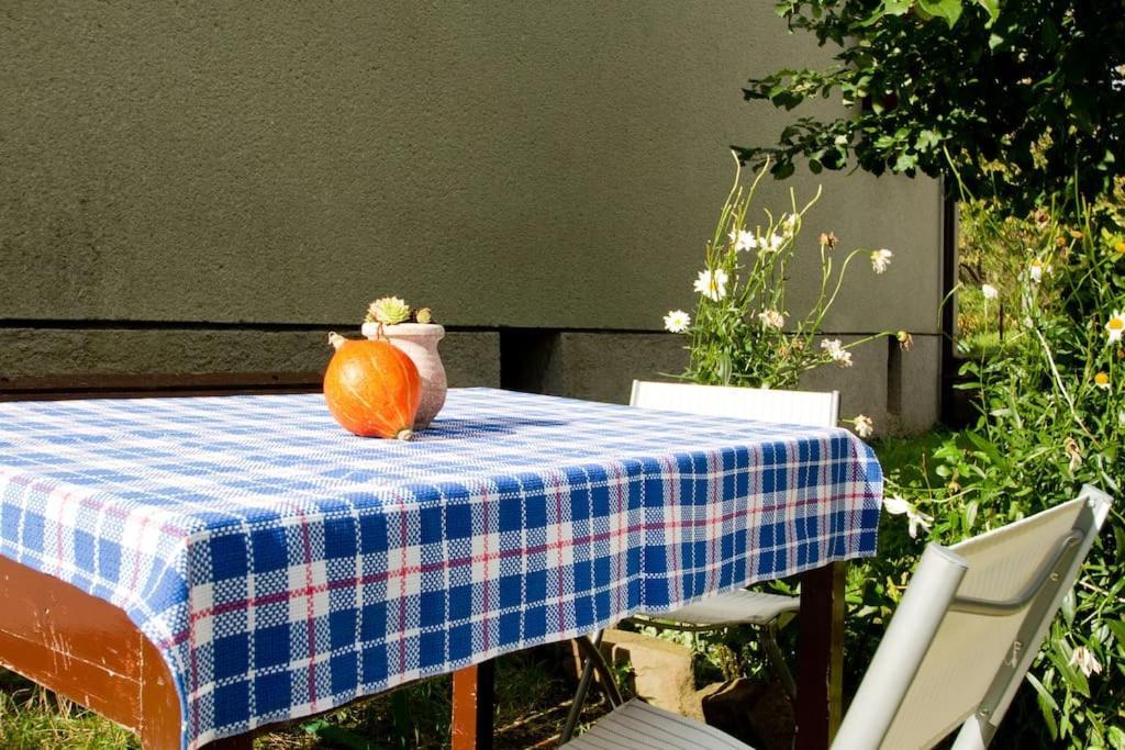 Cozy Rooms In Nature, Perfect For Relax Ilirska Bistrica Esterno foto