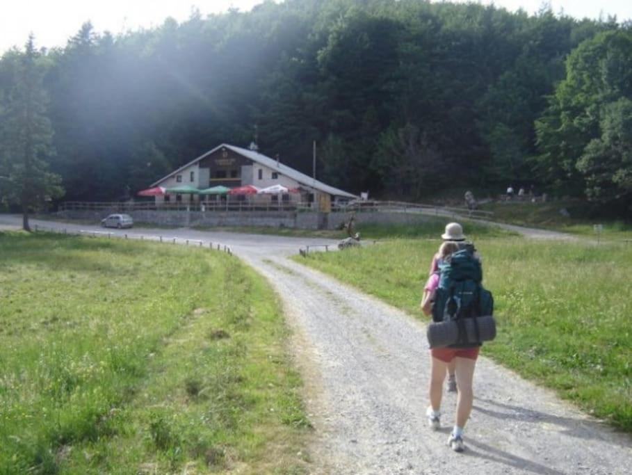 Cozy Rooms In Nature, Perfect For Relax Ilirska Bistrica Esterno foto