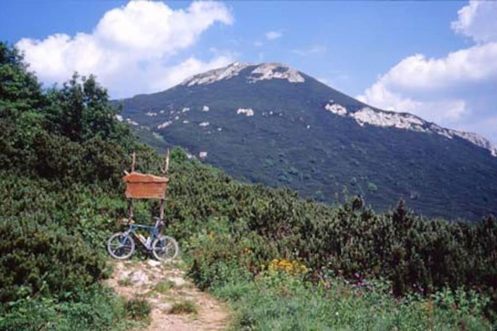 Cozy Rooms In Nature, Perfect For Relax Ilirska Bistrica Esterno foto