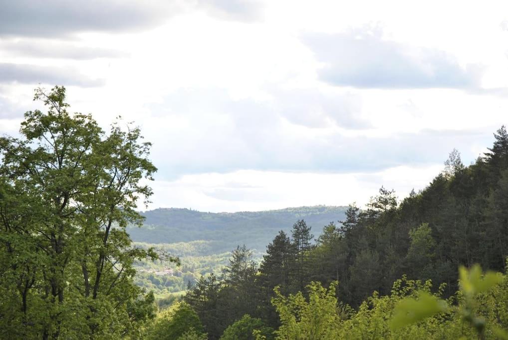 Cozy Rooms In Nature, Perfect For Relax Ilirska Bistrica Esterno foto